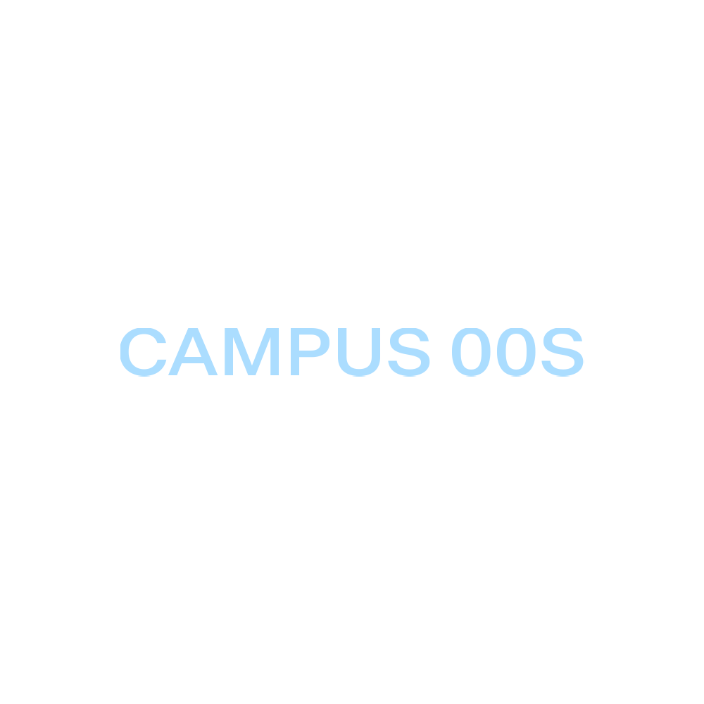 Adidas Campus 00s