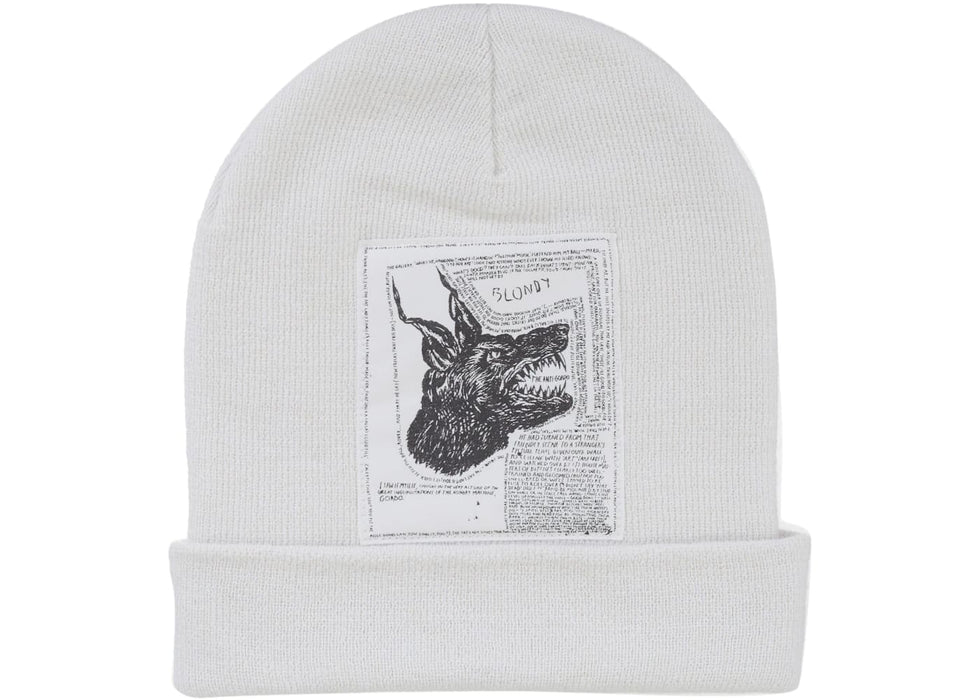 Supreme The North Face Beanie (FW24) White